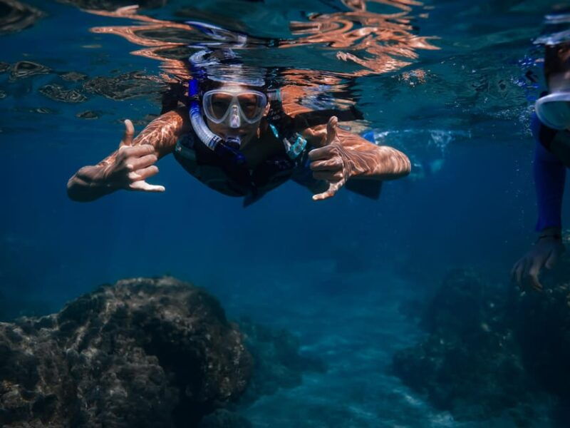 maui-turtle-town-sunset-glow-snorkel-with-optional-photo