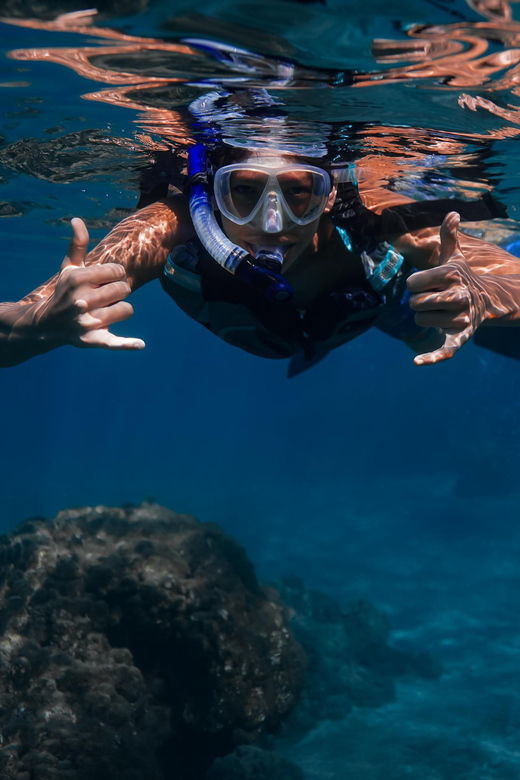 maui-turtle-town-sunset-glow-snorkel-with-optional-photo