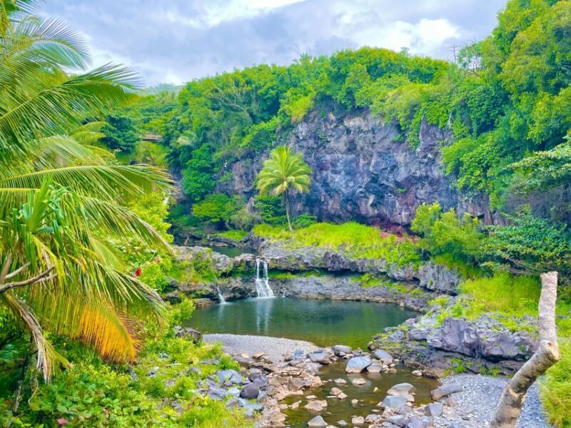 Maui: VIP Road to Hana Private Tour in Convertible Bronco - The Experience of the Guide and Transportation