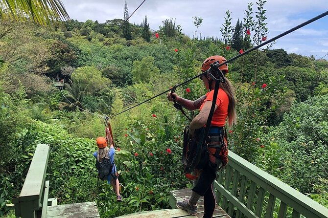 maui-zipline-eco-adventure-8-lines-through-the-jungle