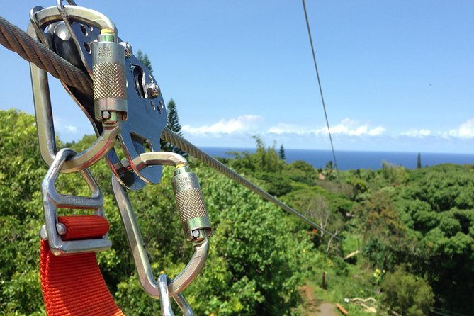 maui-zipline-eco-adventure-8-lines-through-the-jungle