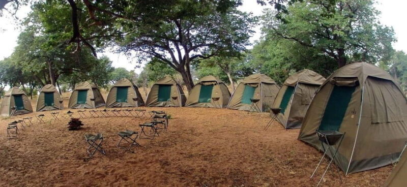 Maun: 6-Day Okavango, Savuti, Chobe &Victoria Falls Tour - The Sum Up
