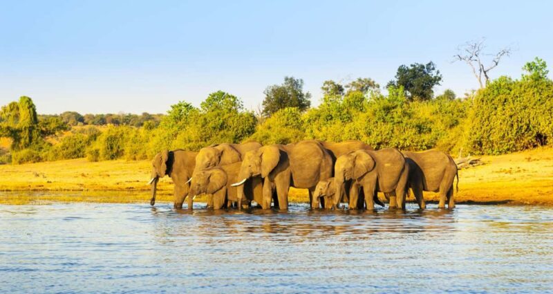 Maun: 6-Day Okavango, Savuti, Chobe &Victoria Falls Tour - FAQ