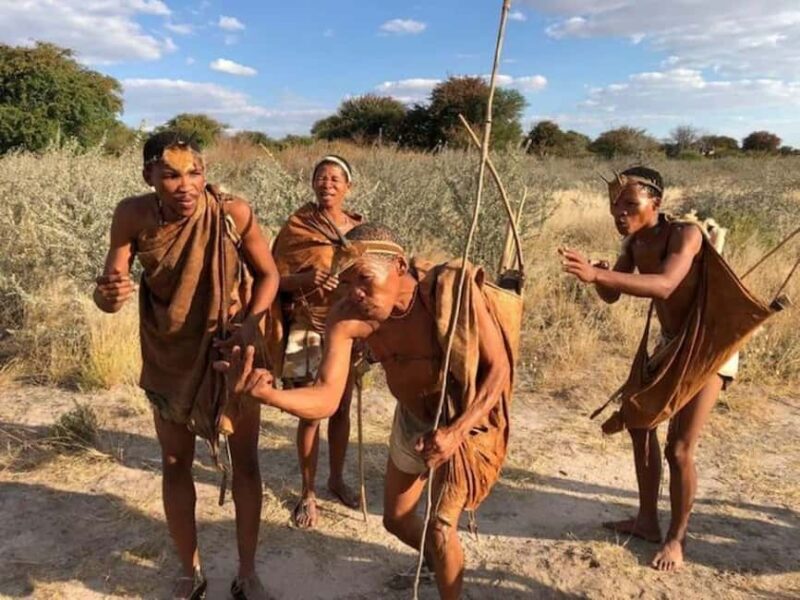 Maun: 8-Day Okavango Delta Safari with Camping - Detailed Breakdown of the Itinerary