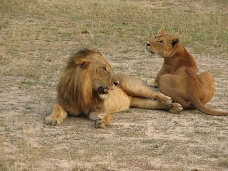 Maun: 8-Day Okavango Delta Safari with Camping - The Sum Up
