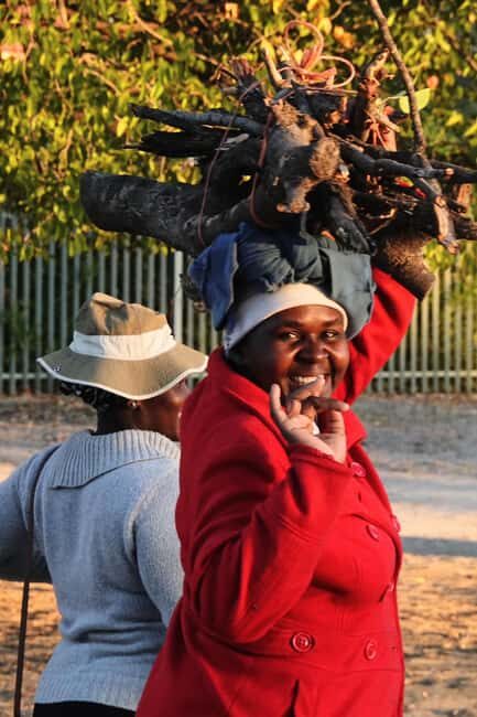 Maun: Town Tour with Local Guide & Traditional Food Tasting - Key Points