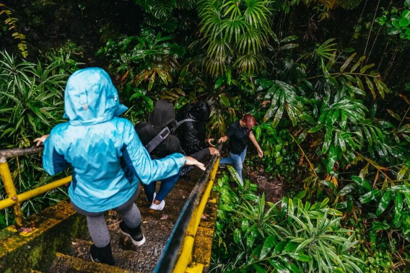 mauna-kea-stellar-explorer-tour-from-hilo