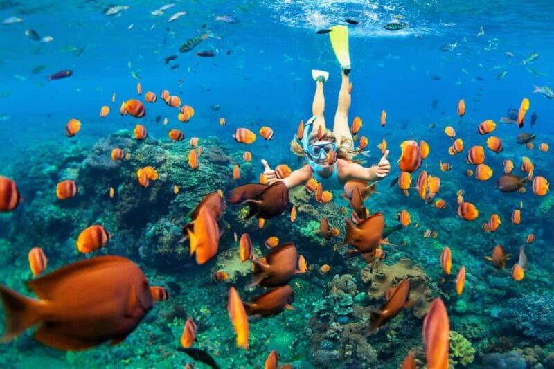 Mauritius: 5 East Coast Islands Tour with Snorkeling & Lunch - What the Tour Offers: A Complete Breakdown