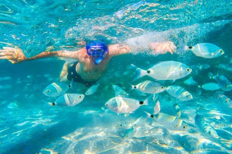 Mauritius: 5 East Coast Islands Tour with Snorkeling & Lunch - FAQ