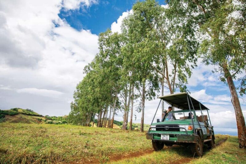 Mauritius: Bel Ombre Nature Reserve 4x4 Safari Adventure - Exploring the Tour: A Detailed Breakdown