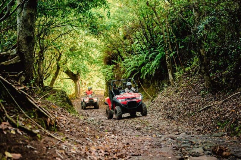 Mauritius: Bel Ombre Nature Reserve Quad Bike Tour - What to Expect from the Bel Ombre Quad Bike Tour