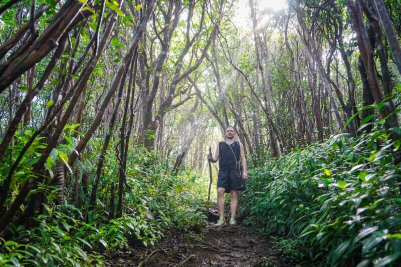 Mauritius: Black River Gorges Guided Hike - Why This Hike Offers Great Value