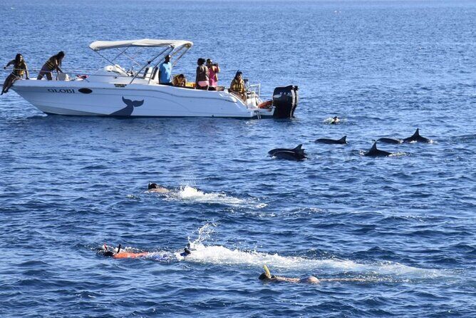 Mauritius : Dolphins Swim and Ile Aux Bénitiers with BBQ - The Value of the Experience