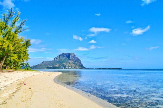 Mauritius : Dolphins Swim and Ile Aux Bénitiers with BBQ - Practical Tips for Future Travelers