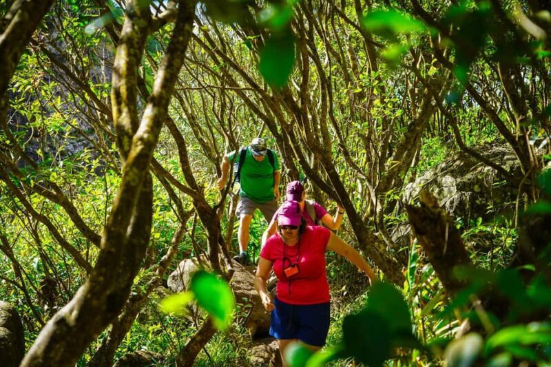 Mauritius: Exploring the Tamarind Falls with a Guide - Key Points