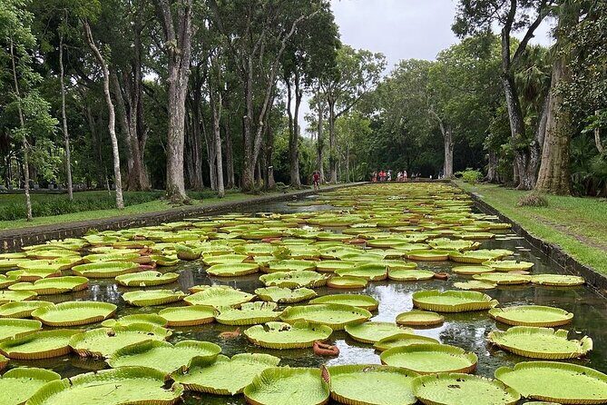 Mauritius full day : Private north tour - Key Points