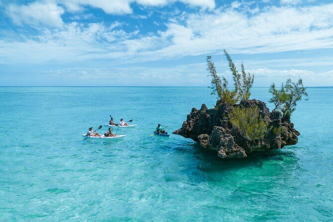 Mauritius Guided Kayak Experience to Benitiers Island - The Practical Side: Cost, Booking, and Logistics