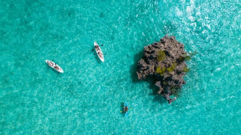 Mauritius: Guided Kayak tour to Benitiers Island - An In-Depth Look at the Tour Experience