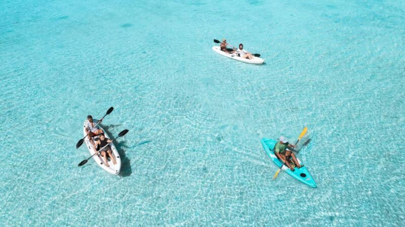 Mauritius: Guided Kayak tour to Benitiers Island - The Sum Up
