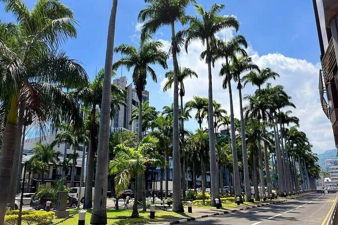 Mauritius Guided North Tour (Private) - The Sum Up