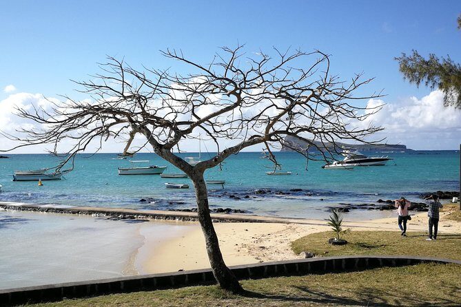 Mauritius Guided North Tour (Private) - Practical Tips for Travelers