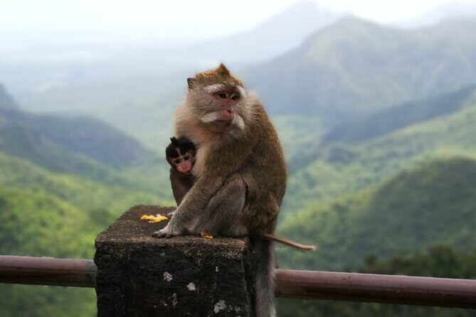 Mauritius Guided South tour (Private) - Starting Point: Convenience and Comfort