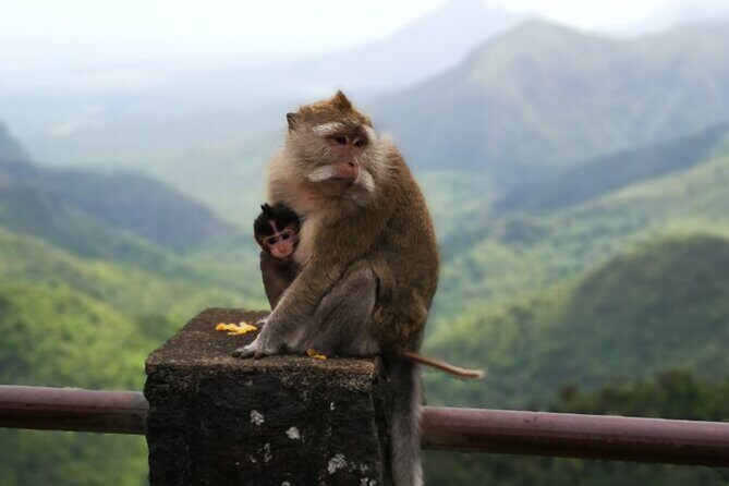 Mauritius Guided South Tour (Private) - A Deep Dive into the Itinerary