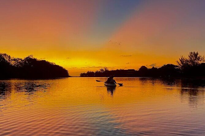 Mauritius Guided Sunrise Kayak Tour on the Tamarin River - Key Points