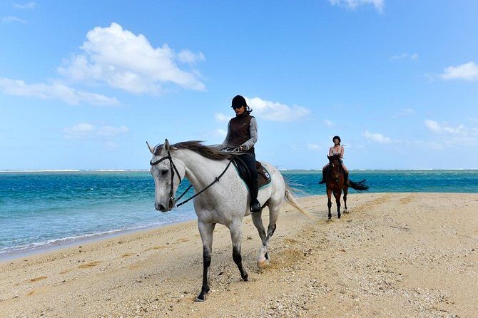 Mauritius Horse Riding at Riambel - An In-Depth Look at the Mauritius Horse Riding Tour at Riambel