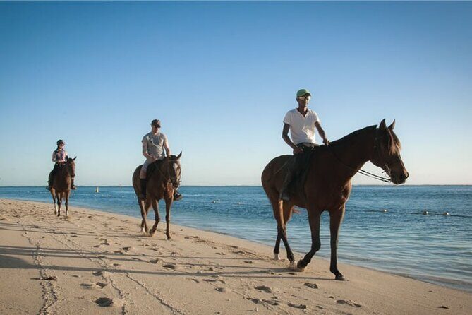 Mauritius Horse Riding at Riambel - FAQ