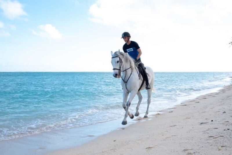 Mauritius: Horse riding on the deserted beach of Riambel - The Ethical Touch: Rescued Horses