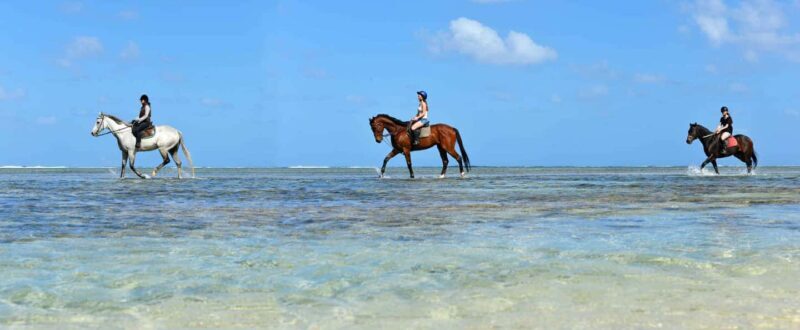 Mauritius: Horse riding on the deserted beach of Riambel - Who Would Love This?