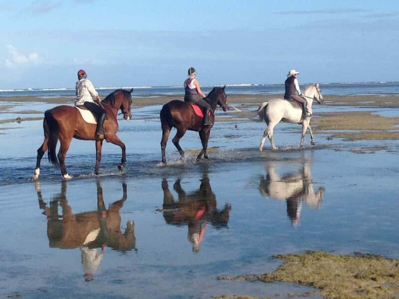 Mauritius: Horse riding on the deserted beach of Riambel - FAQ