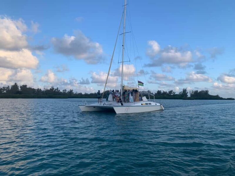 Mauritius: Ile Aux Cerfs catamaran cruise Lunch with BBQ - Who Would Love This Tour?  