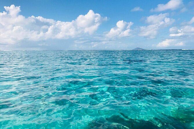 Mauritius: Ile Aux Cerfs Catamaran Tour with Lunch and Drinks - Key Points