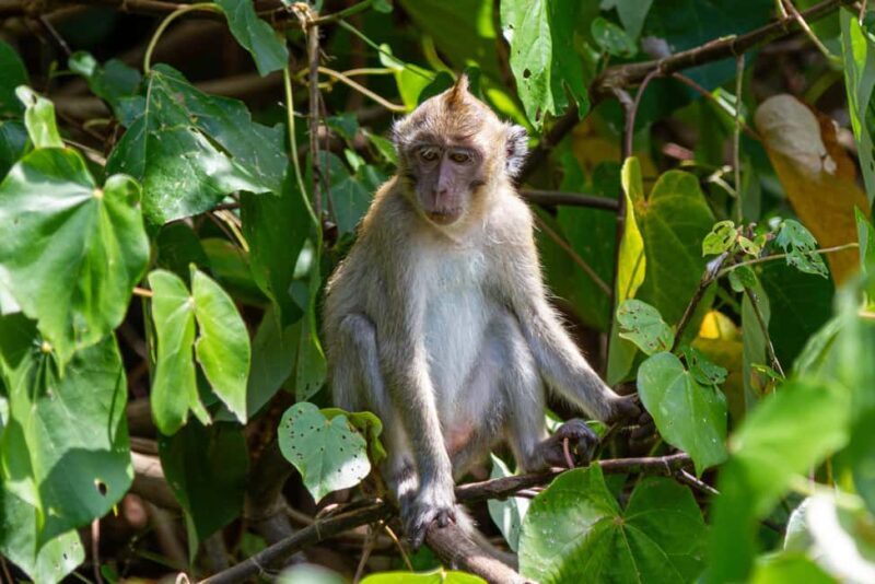 Mauritius Ile aux cerfs PRIVATE BOAT - Exploring the Itinerary: What to Expect