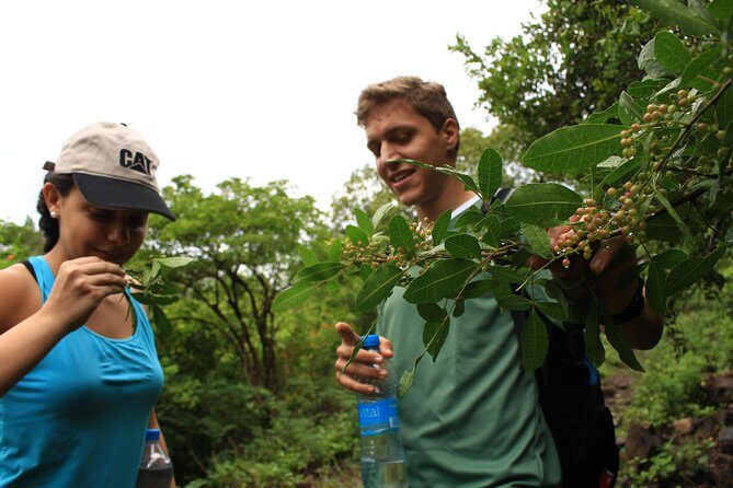 Mauritius Le Morne Hiking including transfer - The Value of This Experience
