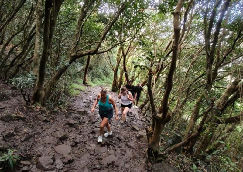 Mauritius: Le Pouce Guided Hiking Experience with a local - Why Choose This Hike?