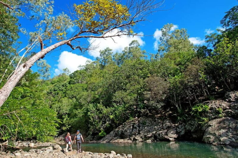 Mauritius National Park: Discover the Island as It Once Was - An Authentic Look at Mauritius’ Last Forests