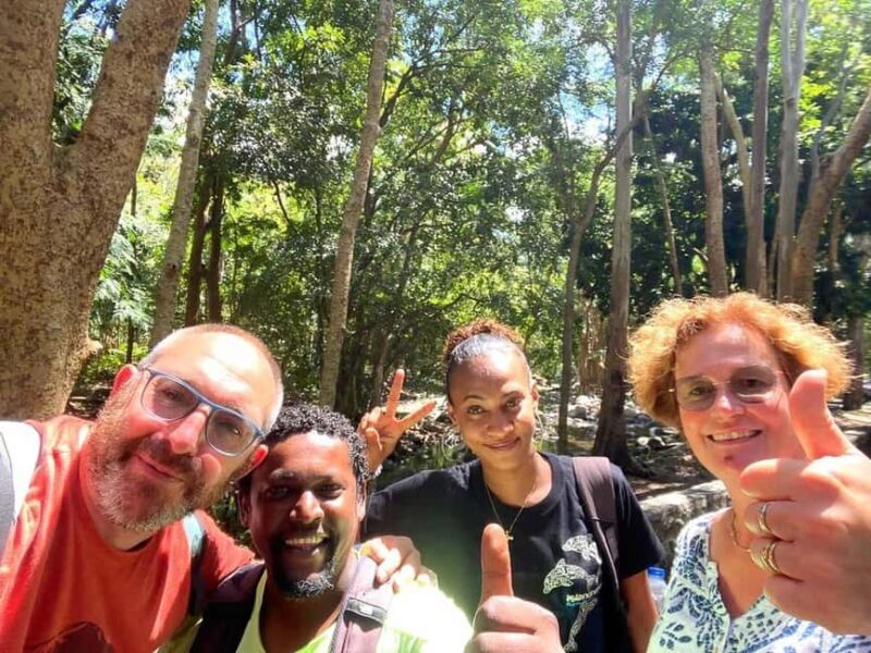 Mauritius National Park: Discover the Island as It Once Was - The Scenic End and Optional Swim