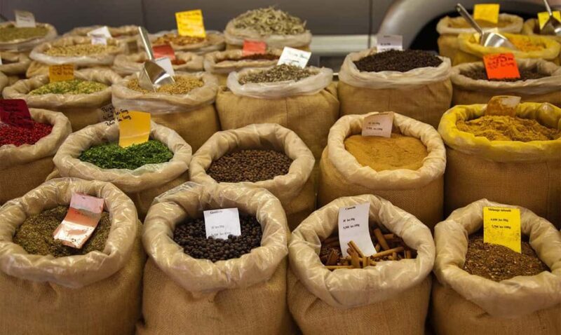 Mauritius: North Tour with Tea Tasting & Oceanarium Visit - Key Points
