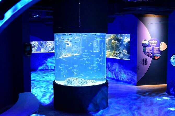 Mauritius Odysseo Oceanarium in Port Louis - What Makes the Mauritius Odysseo Oceanarium Special?