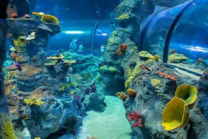 Mauritius Odysseo Oceanarium in Port Louis - FAQ