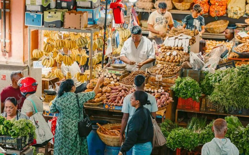 Mauritius: Port Louis and Northern Highlights Full-Day Trip - Final Thoughts