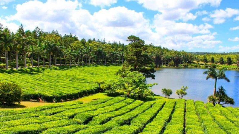 Mauritius: Private Full-Day South Mauritius Tour - Trou Aux Cerfs: Panoramic Volcanic Vistas