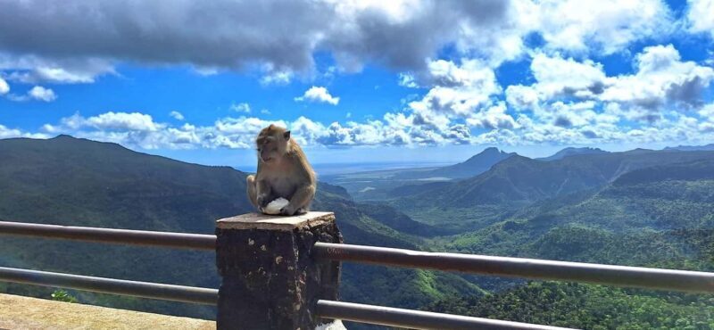 Mauritius: Private South Day Tour with Hotel Transfer - Detailed Breakdown of the Itinerary