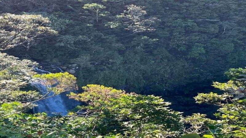 Mauritius: private southwest tour - Key Points
