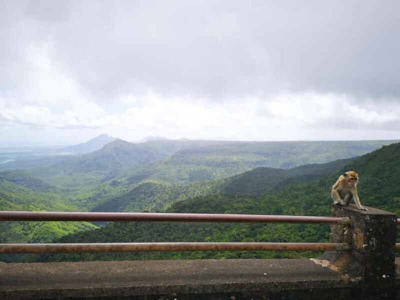 Mauritius: Private Southwest Tour with Pickup - Who Will Enjoy This Tour Most?