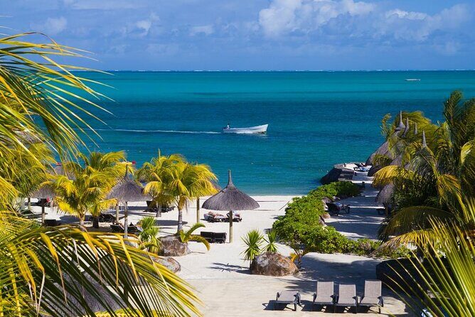Mauritius Private Transfers: Airport and Ground Services - Additional Details and Practical Tips