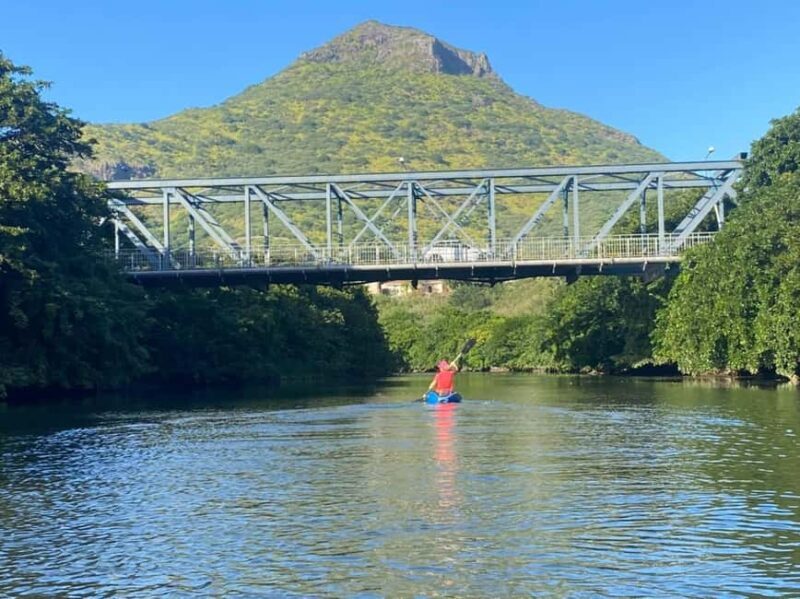 Mauritius: River Guided Kayak Tour with Monkeys - Key Points